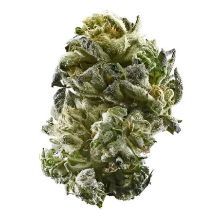Girl Scout Cookies