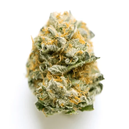 Hot Donna Cannabis Flower
