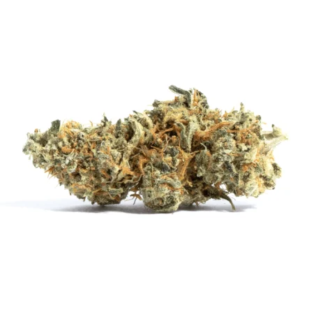 Shark Attack Cannabis Flower