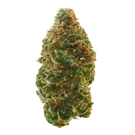 Peach Ringz Cannabis Flower