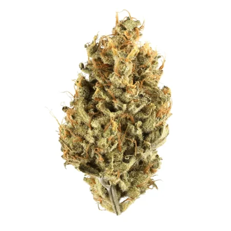 Lemon Diesel Cannabis Flower