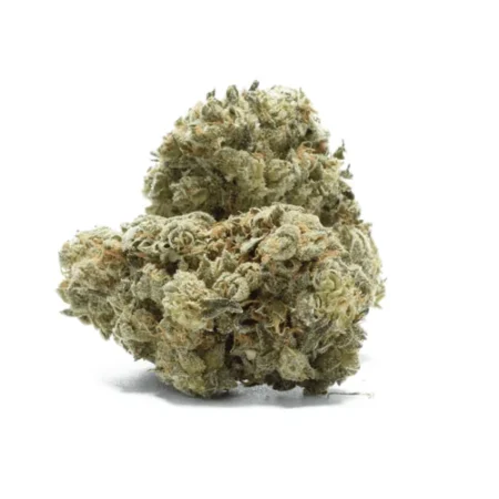 White Rhino Cannabis Flower
